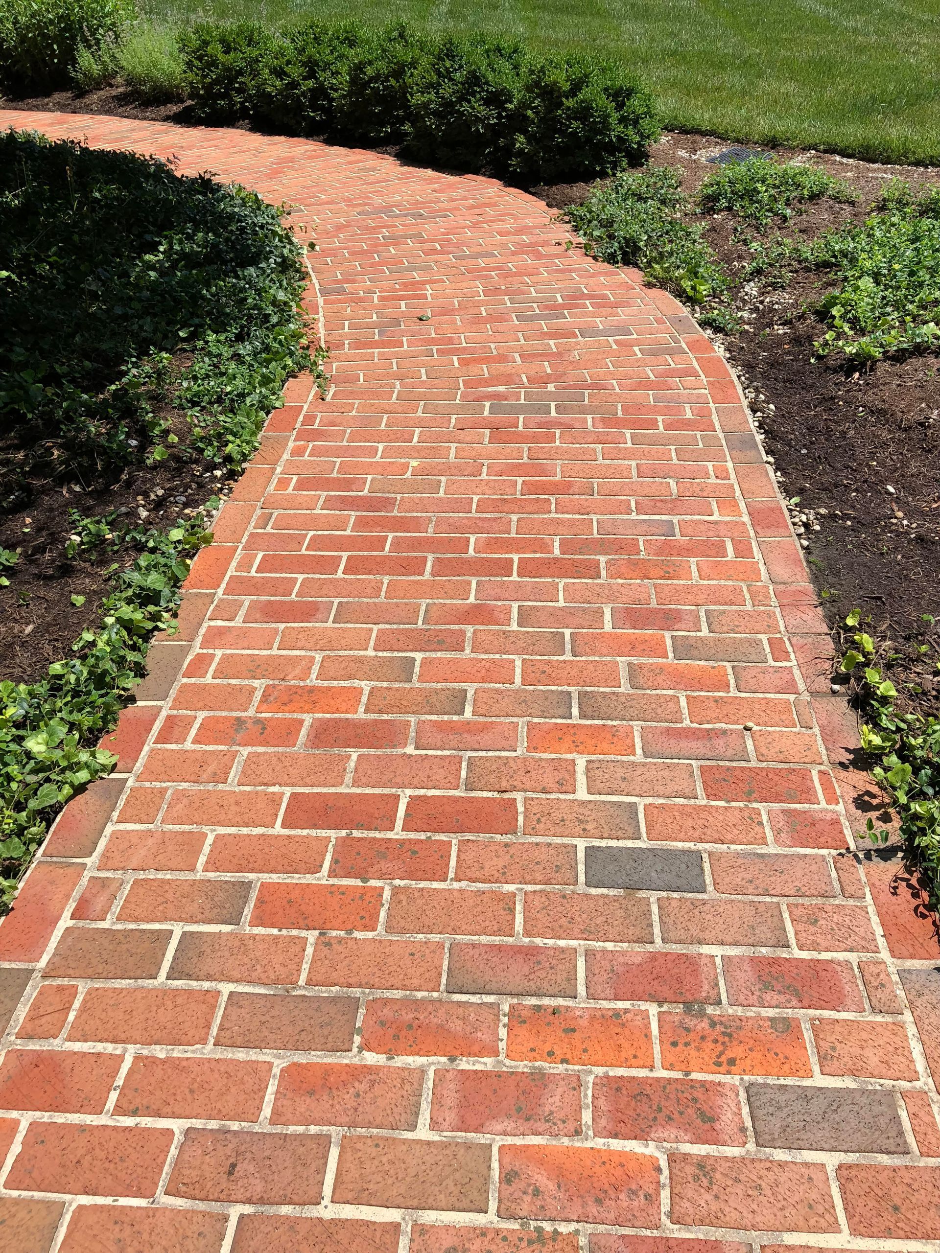 A red brick walkway going through a garden.