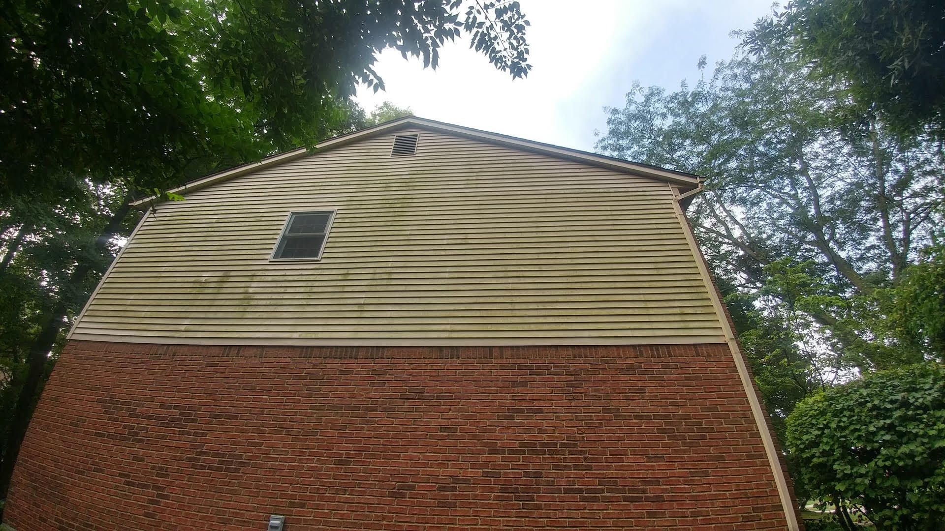 A brick house with a green siding and a window surrounded by trees.