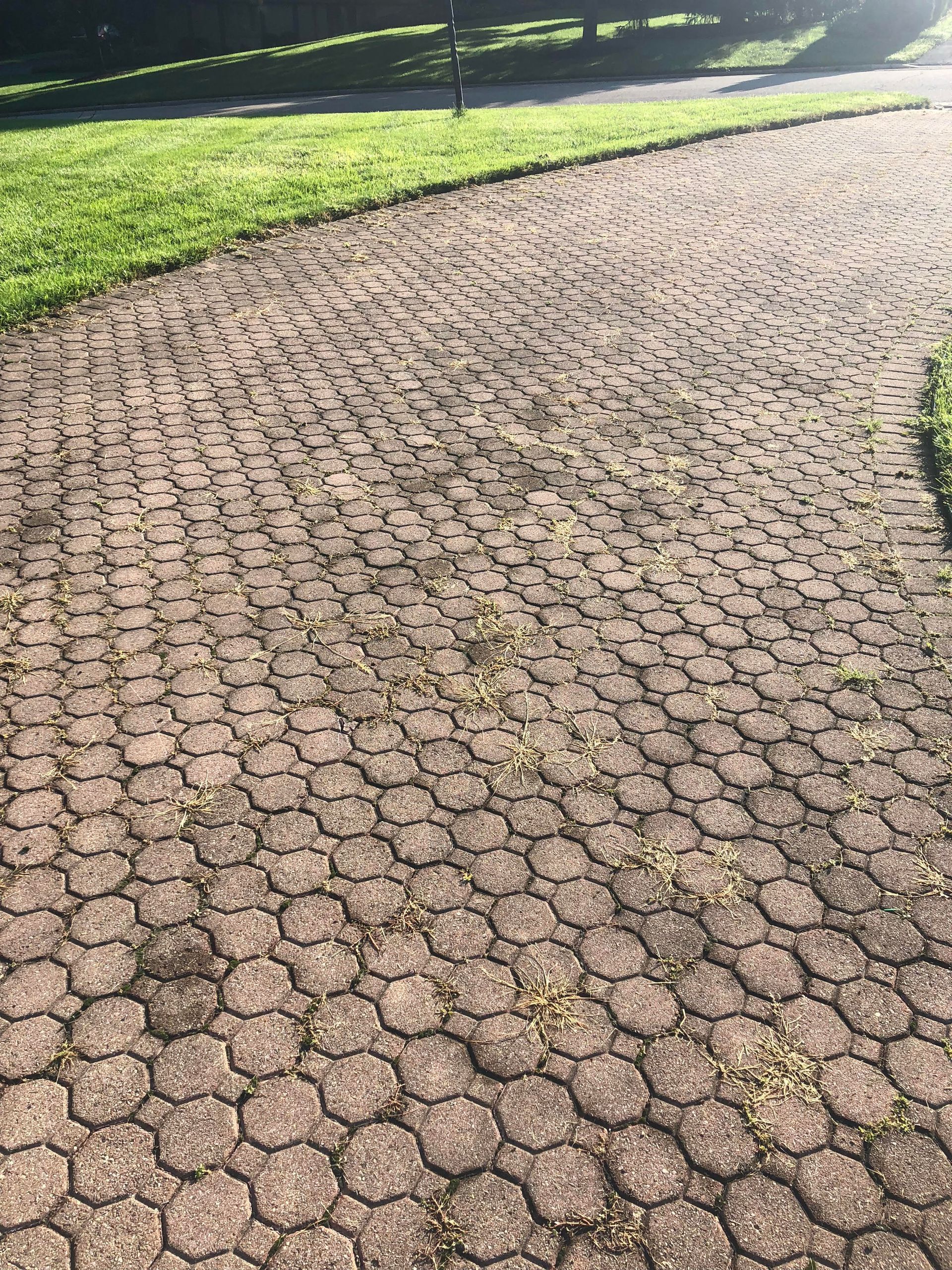 A brick walkway leading to a lush green field.
