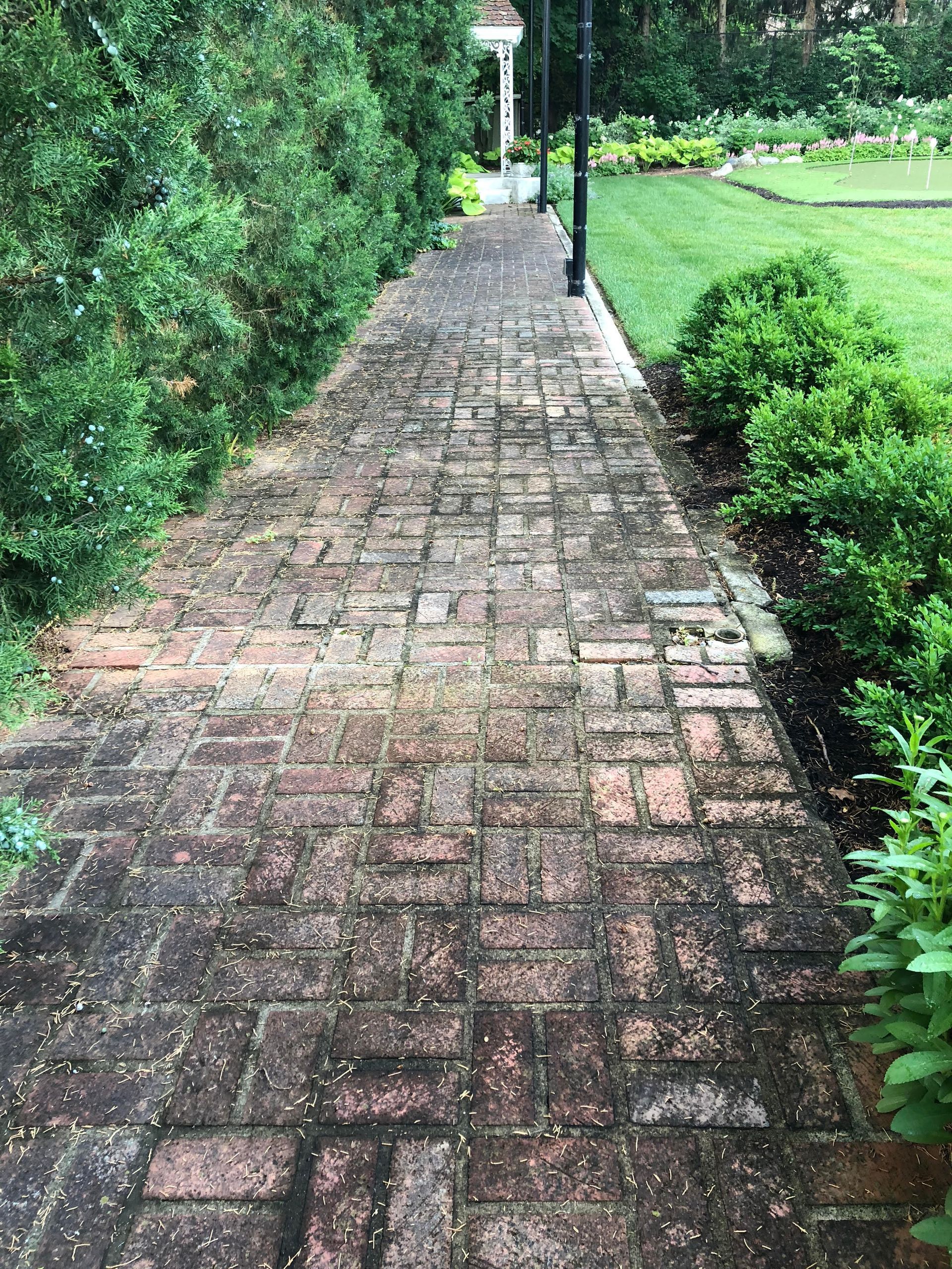A brick walkway leading to a lush green field.