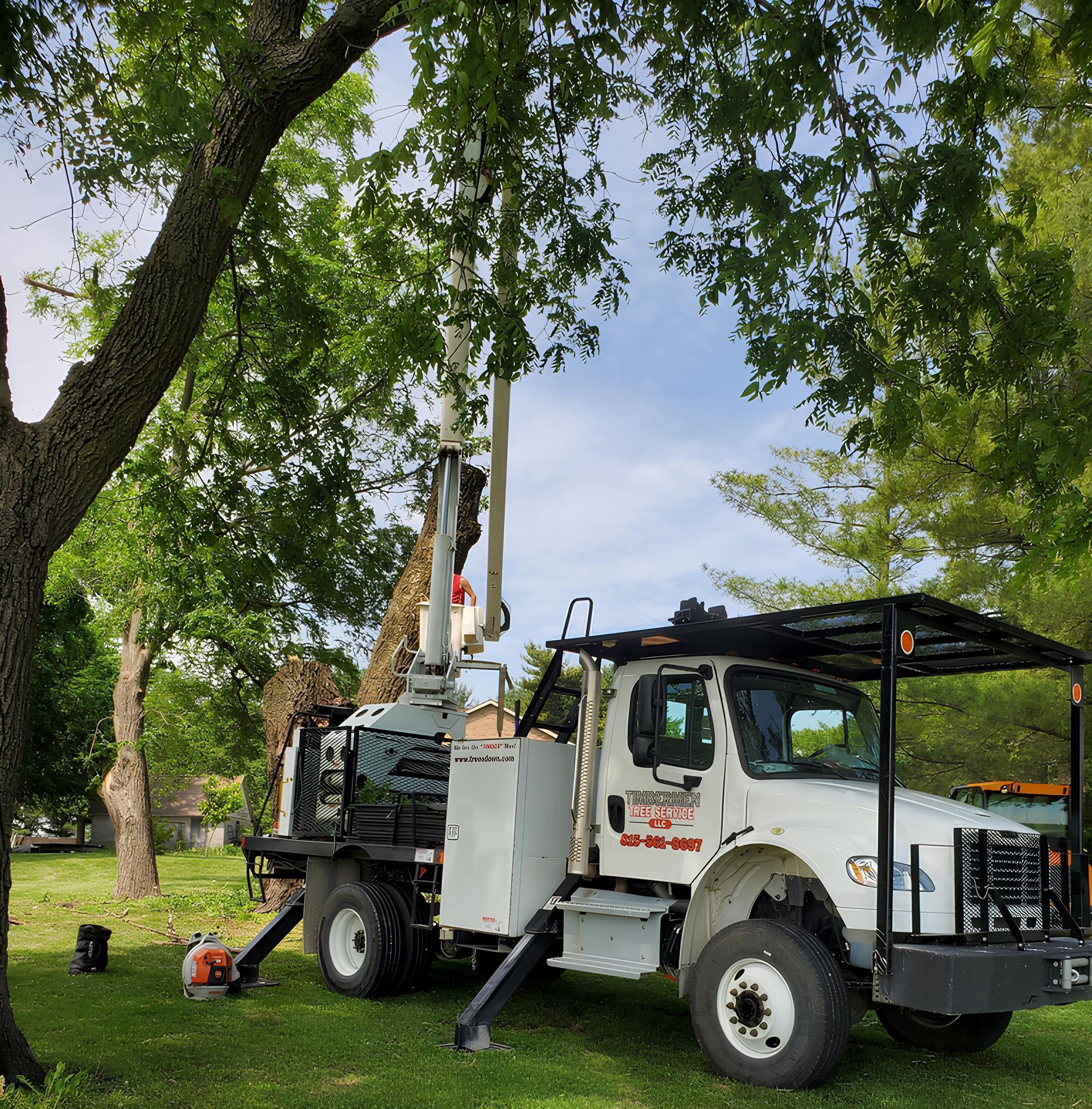 Tree Service | DeKalb, IL | Timbermen Tree Service
