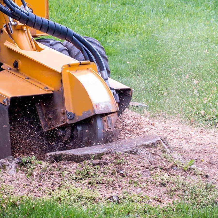 Stump Grinding