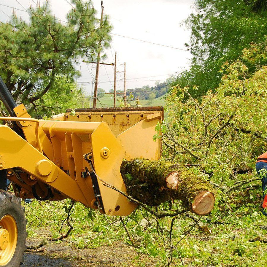 Storm Cleanup