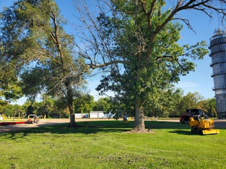 A yellow tractor is parked in a grassy field next to a tree.