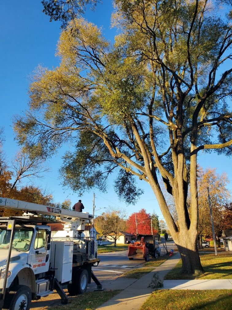 A tree cutting truck is parked on the side of the road next to a tree.