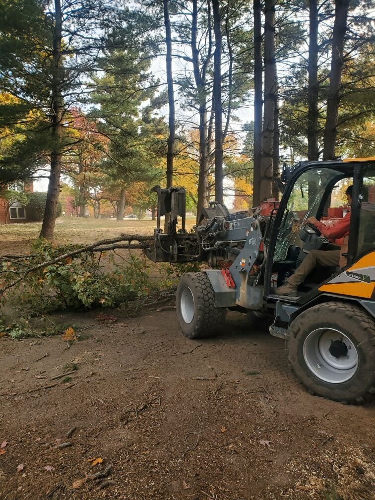 A man is driving a forklift in the woods.