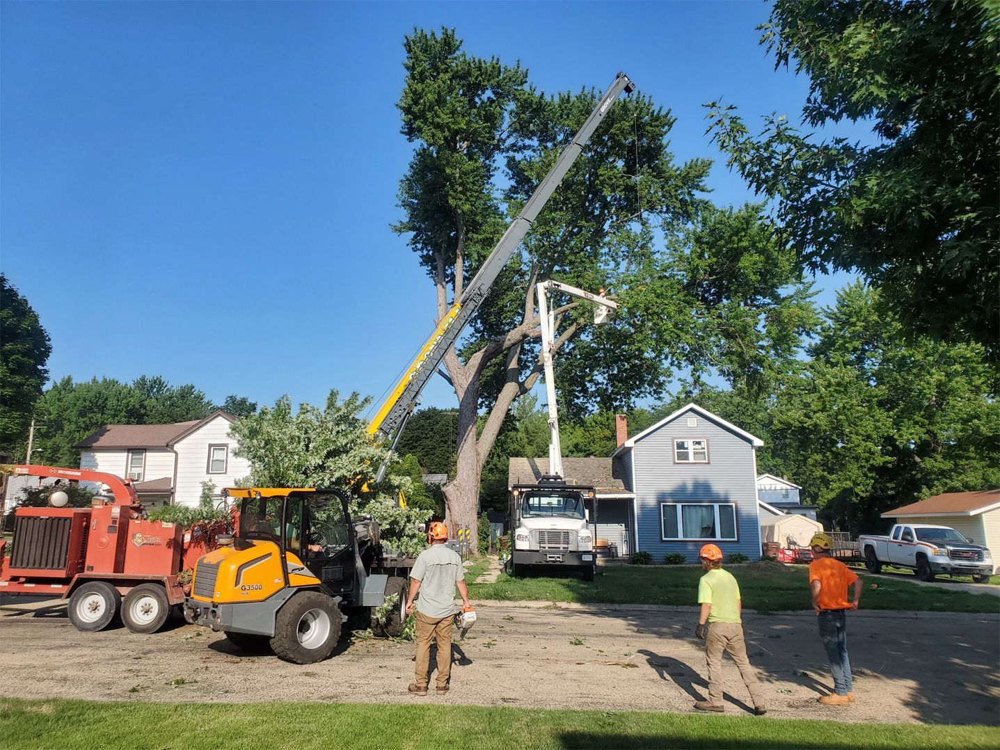 A group of men are standing in front of a tree being cut down.