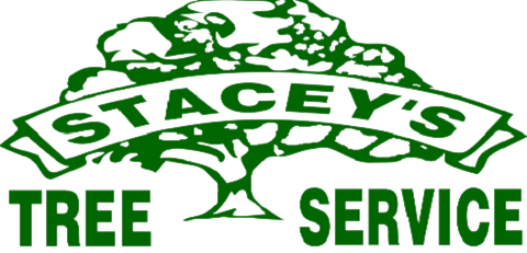 Stacey's Tree Service