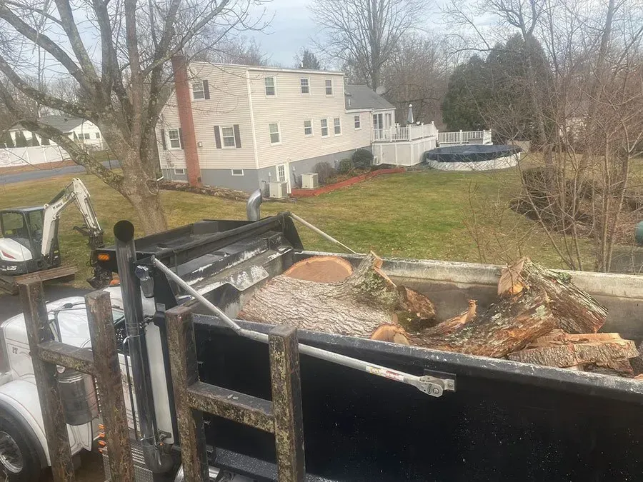 Dump truck bed filled with tree logs and mulch; a house and excavator in the background.