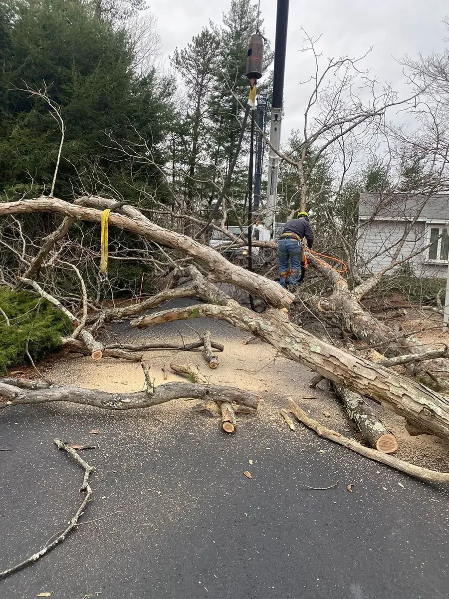 Man cutting fallen tree branches on driveway with crane in background.