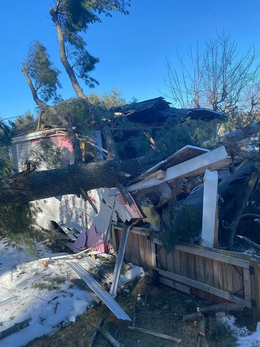 Tree fallen on a partially demolished building, debris scattered, snow on the ground, bright blue sky.