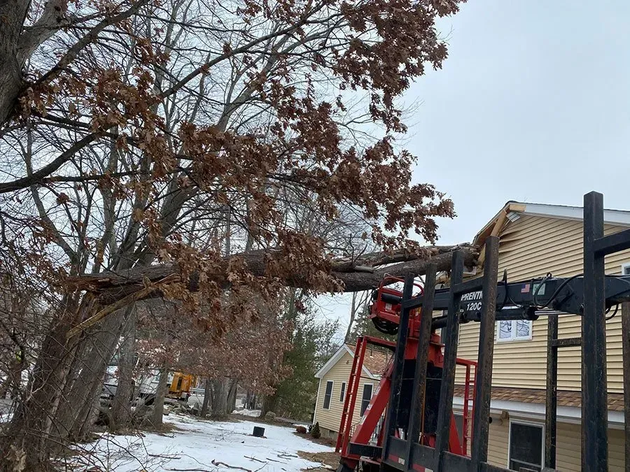 A tree branch overhanging a house, being trimmed by a red crane on a trailer, snow on the ground.
