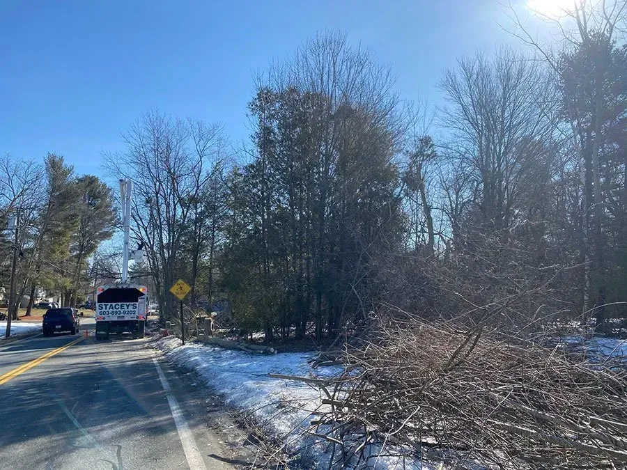 Roadside scene: utility truck, leafless trees, snow, cut branches, and a sunny sky.