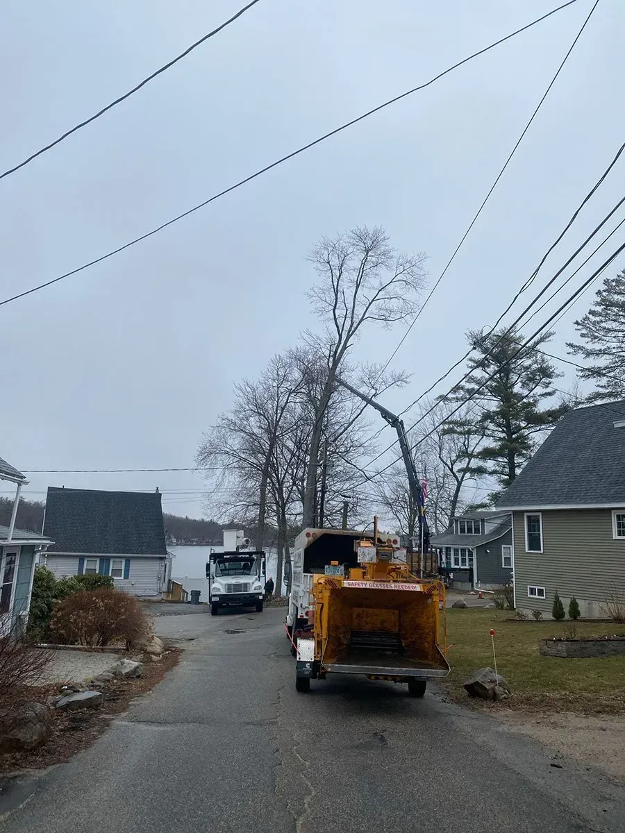 Tree trimming truck and crew working near power lines in a residential street on a cloudy day.