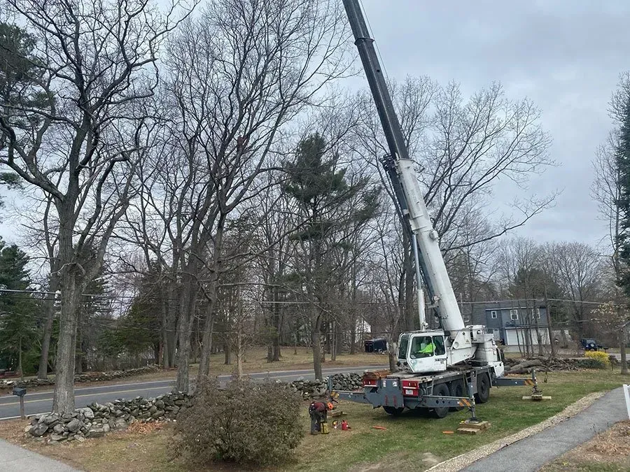 Crane removing tree branches near a house and stone wall on a cloudy day.