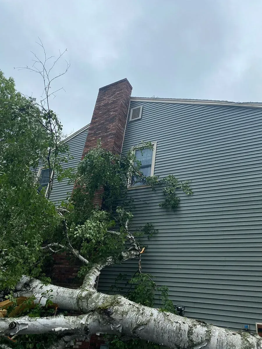 A fallen birch tree on the roof of a house, damage to the chimney and siding, cloudy sky.