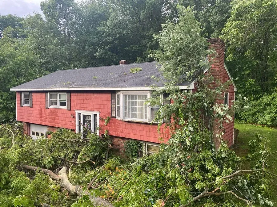 Red house with tree damage, partially covered in branches, set in a green, wooded area.
