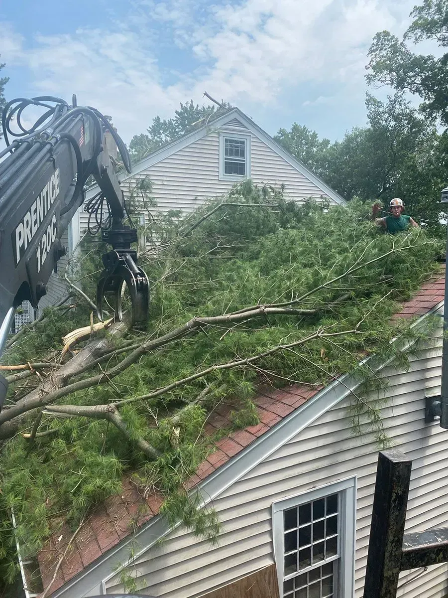 A tree service removing branches from a roof with a crane; worker on the roof.