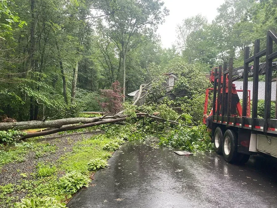 Fallen tree blocks a driveway, debris scattered. A log truck is parked nearby, with a house visible in the background.