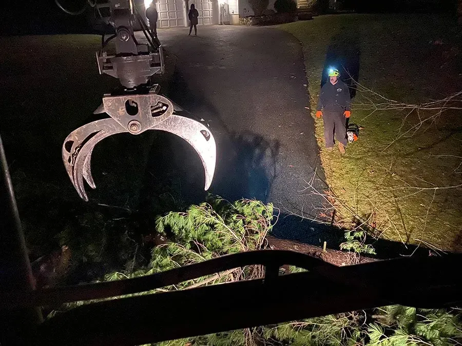 Crane arm holding tree branches at night; worker with headlamp nearby.