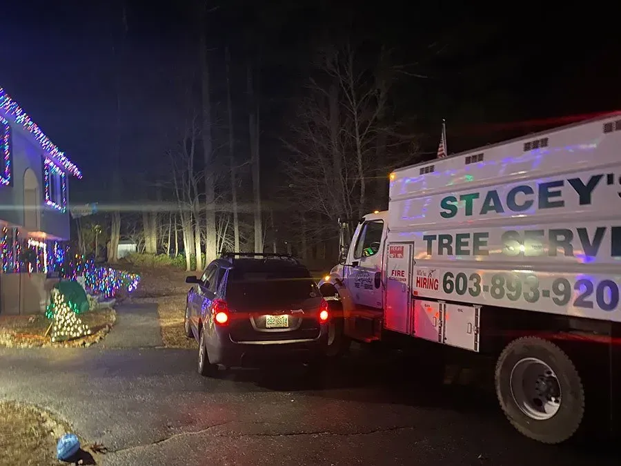 A black SUV is parked behind a tree service truck at night, in front of a house lit with Christmas lights.