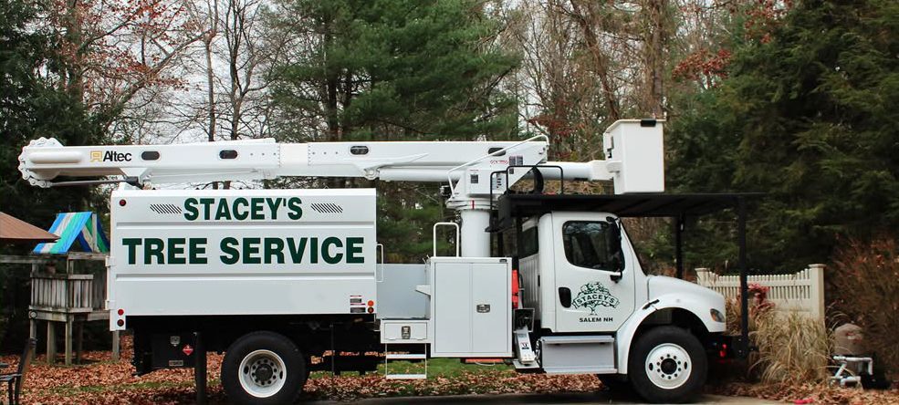 Stacey's Tree Service truck with an extended boom and bucket, parked on a residential street.