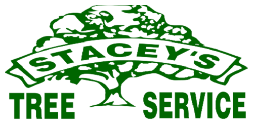 Stacey's Tree Service - logo