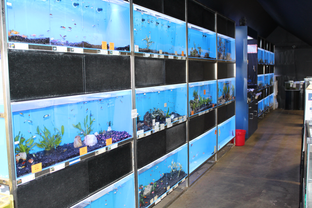 The Pet Shop Pet Supplies and Products Kahului, HI