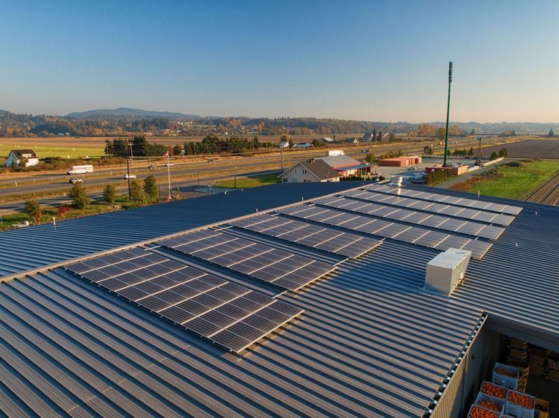 Solar panels on a building roof, with a rural landscape backdrop.