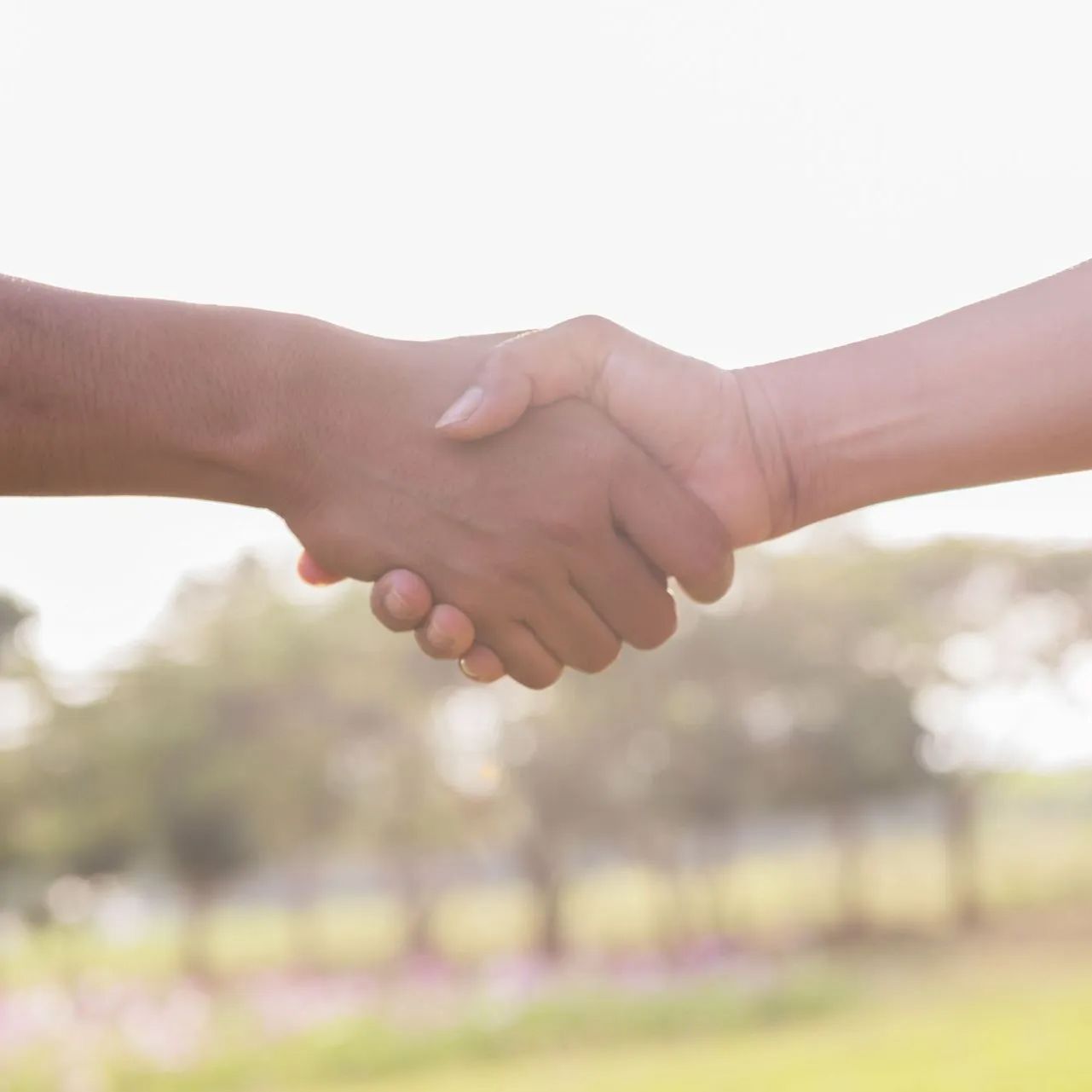 Hands in a handshake, one darker skin tone, other lighter, in front of a blurred natural background.