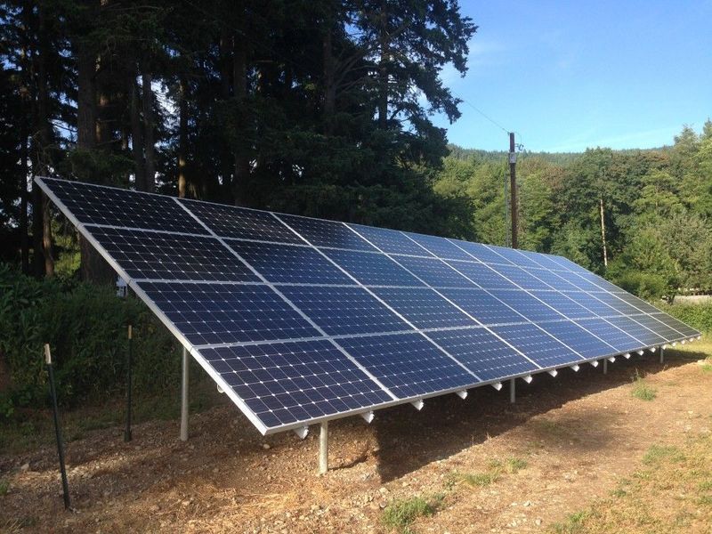 Solar panel array in a field, angled toward the sun, with a forest in the background on a sunny day.