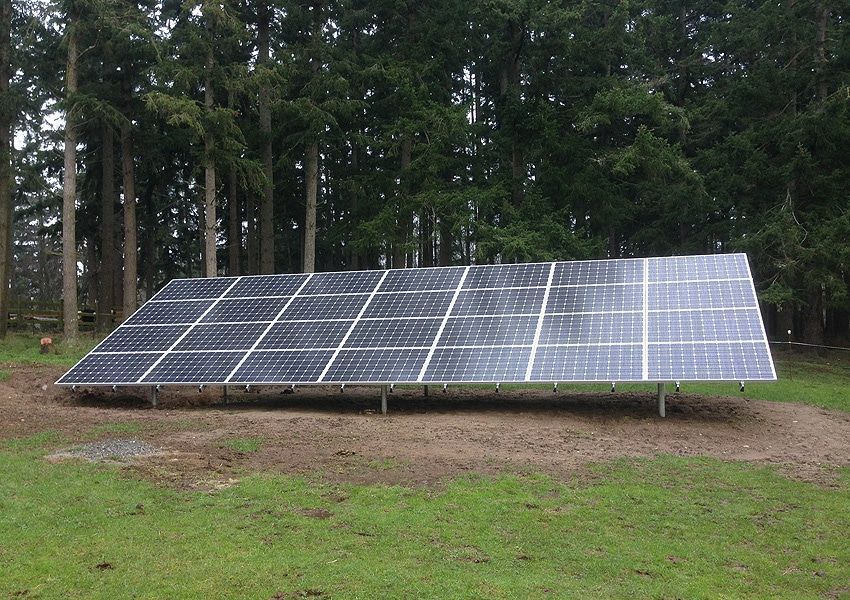 Solar panels in a grassy area, set against a backdrop of tall trees.