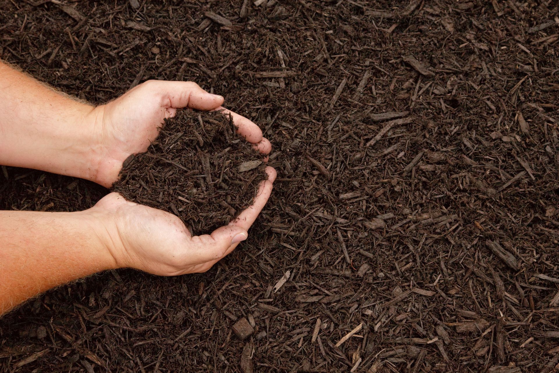 A person is holding a pile of mulch in their hands.