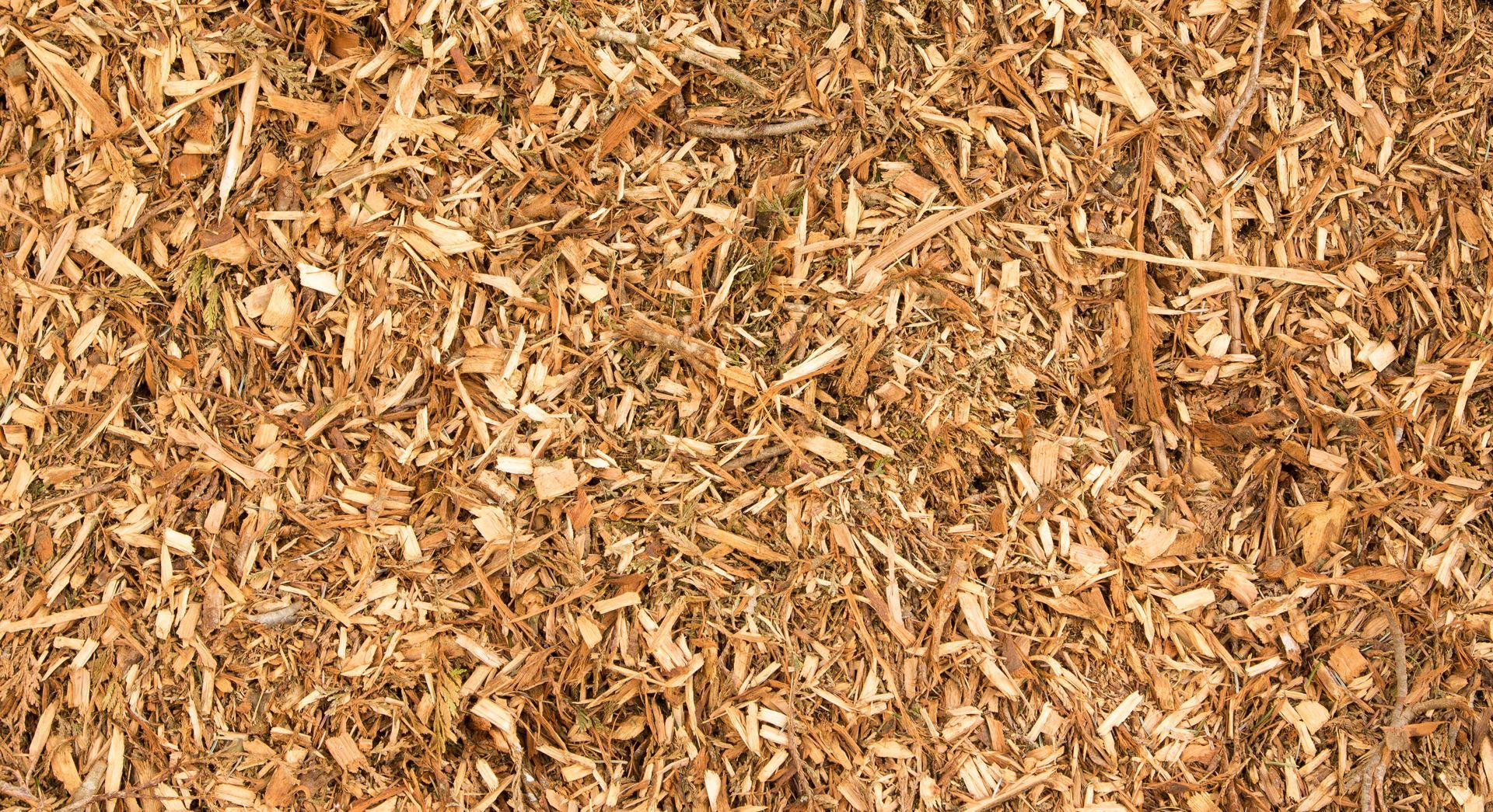 A pile of wood chips is sitting on the ground.