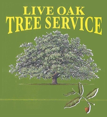 Live Oak Tree Service Logo