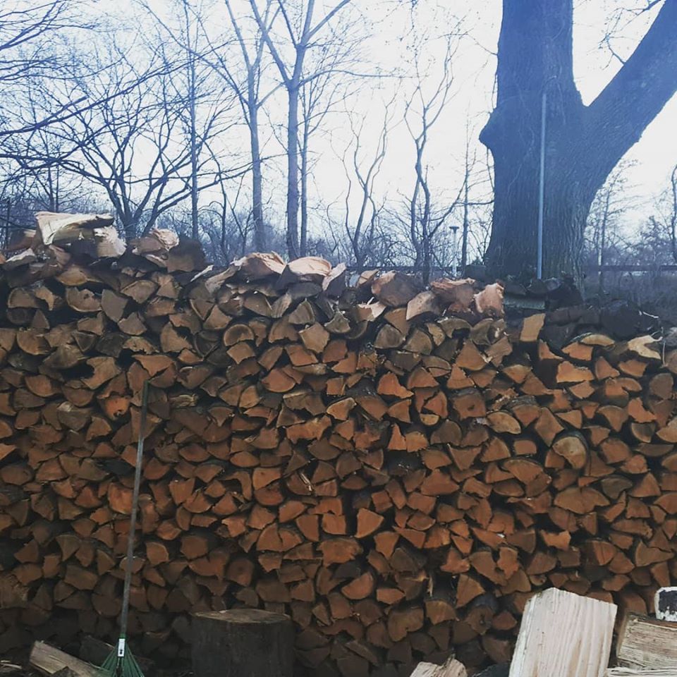 firewood