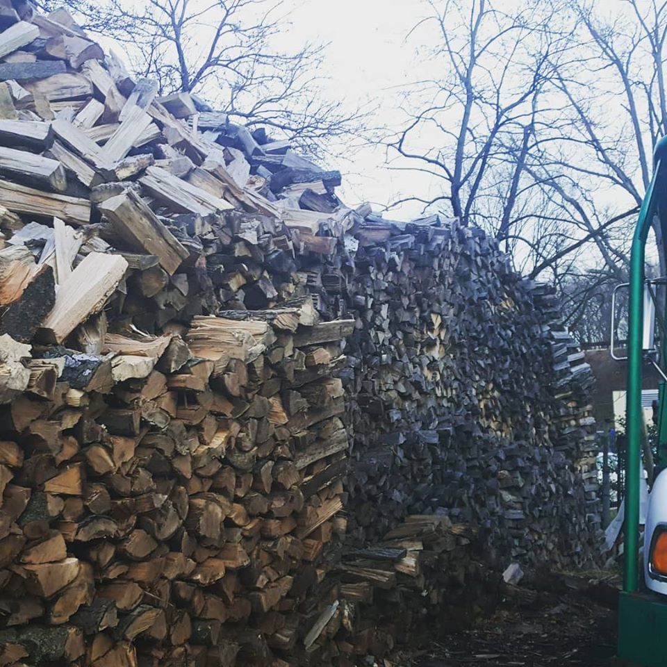firewood
