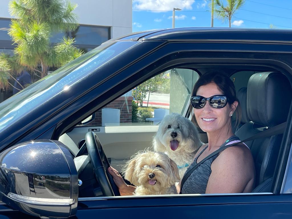 Woman in a car with two dogs; all smiling. Sunny day.