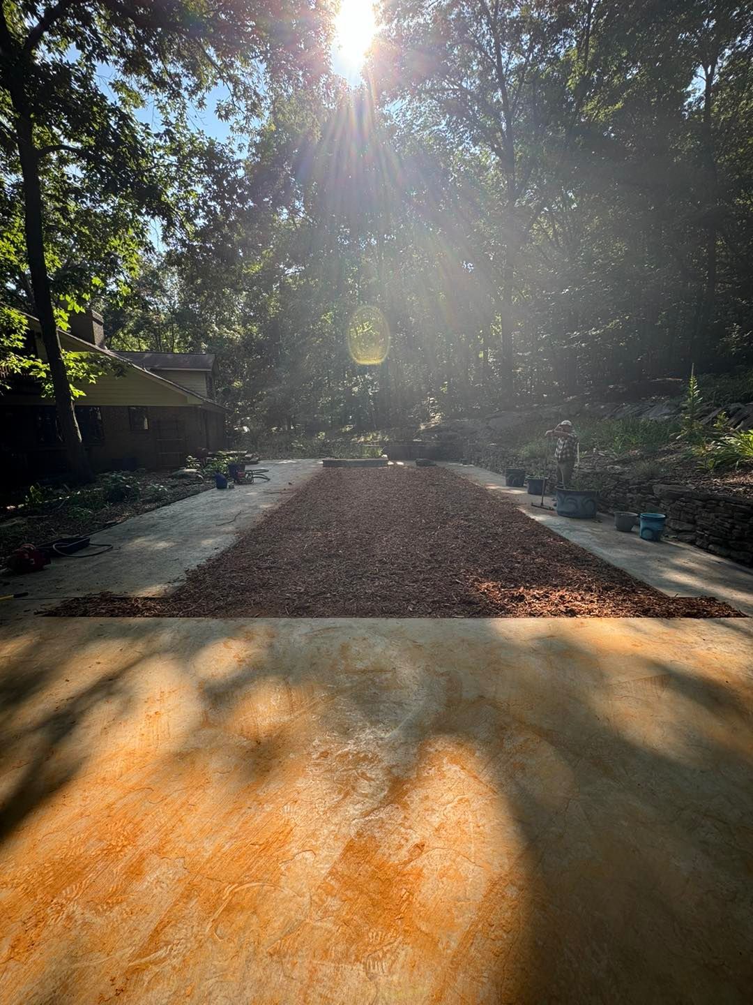 The sun is shining through the trees on a concrete driveway.