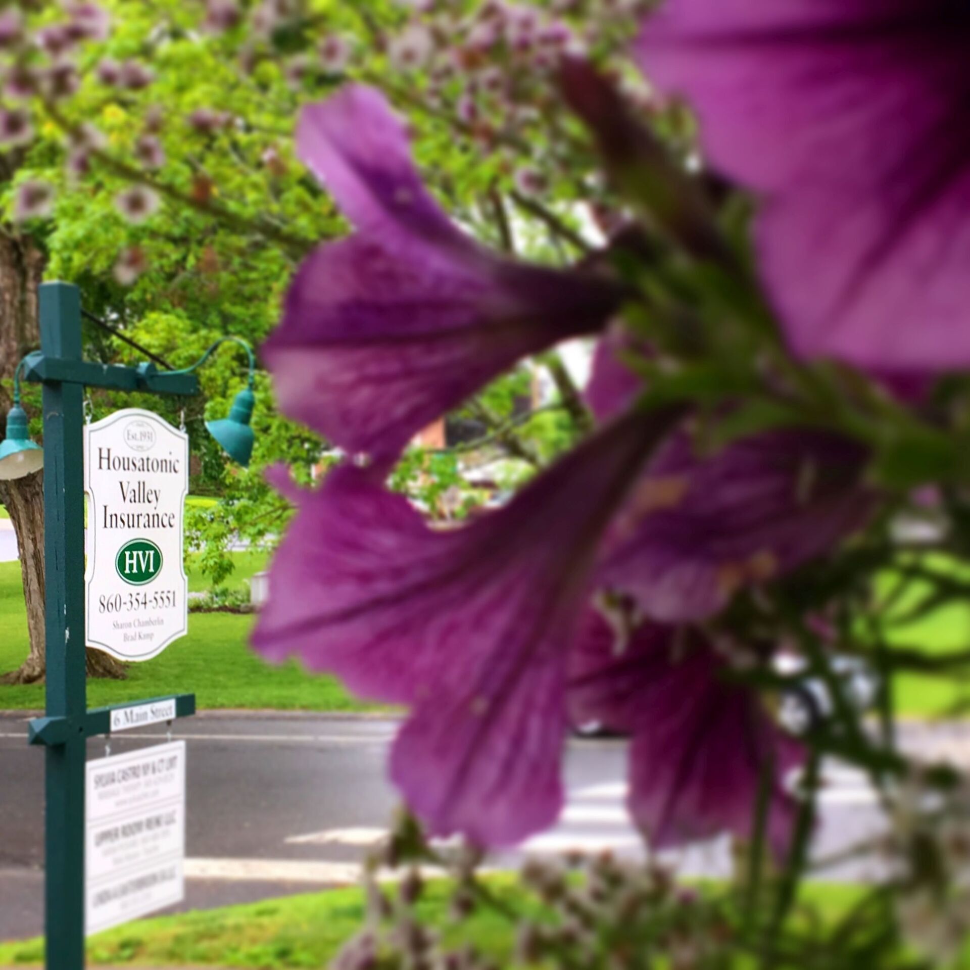 Housatonic Valley Insurance