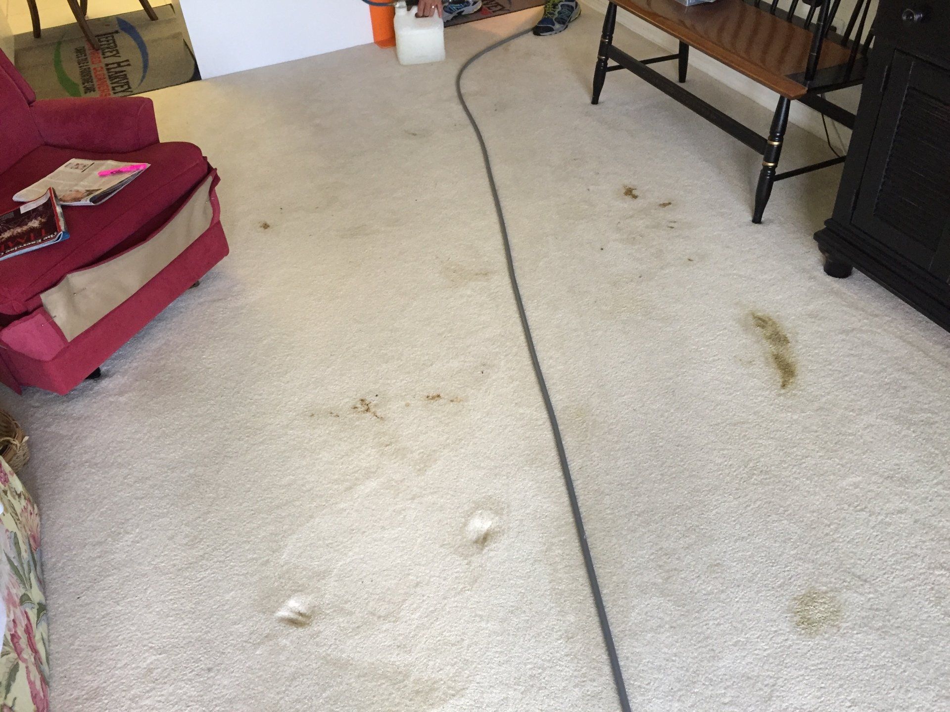 Jeffrey Harvey Certified Cleaners Photo Gallery Fort Myers