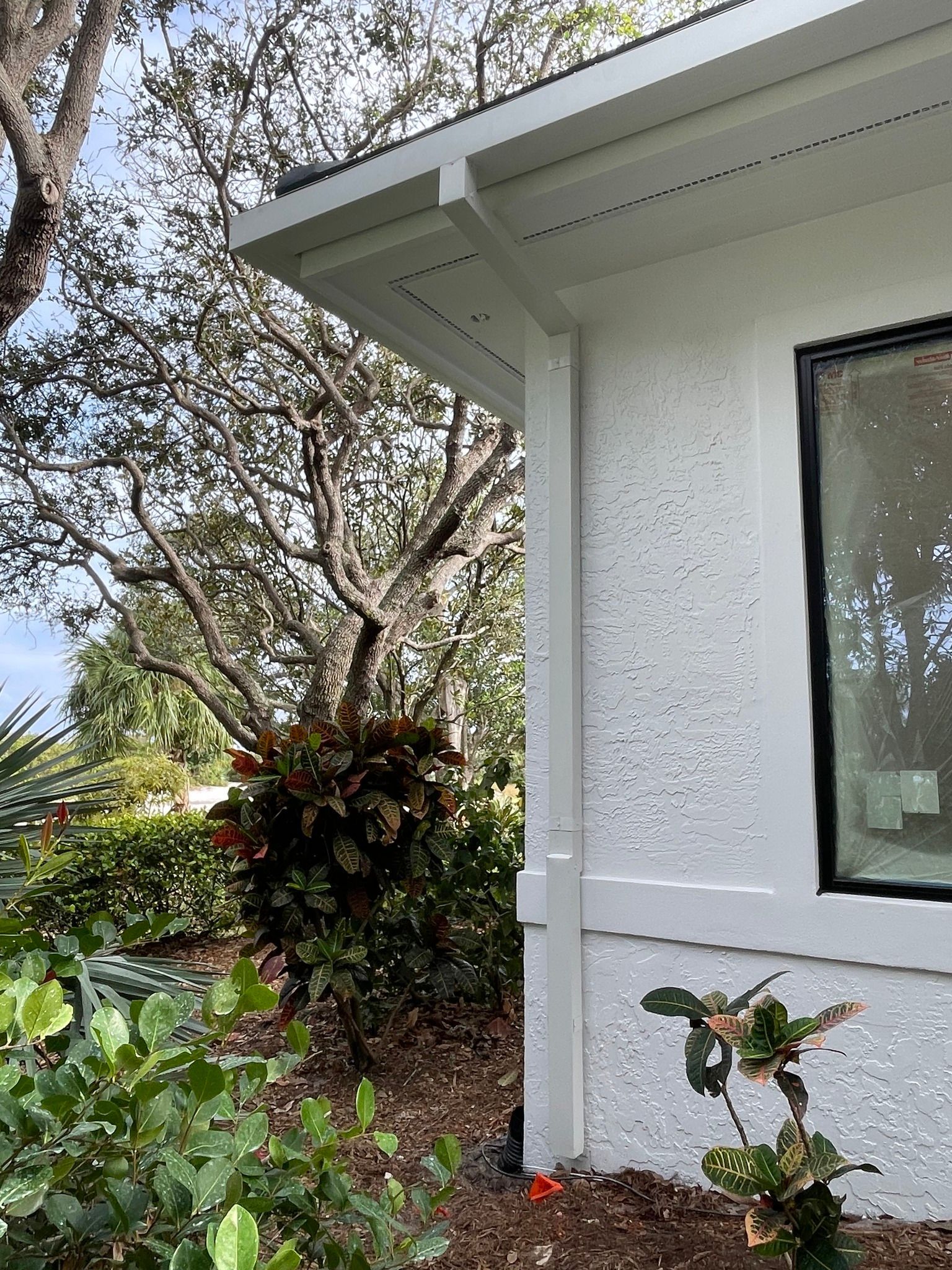 Corner of a white stucco house with a window, gutters, and surrounding foliage. A tree and bushes are visible.