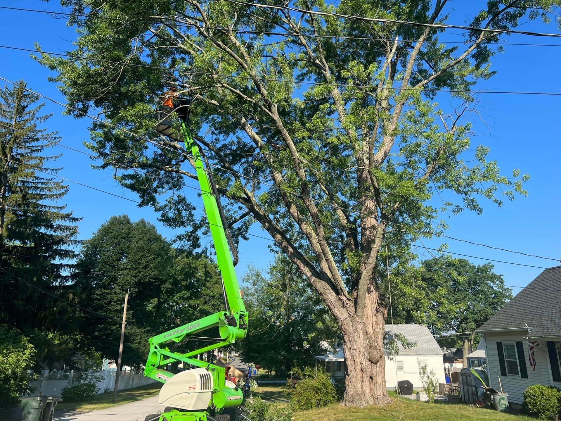 Tree topping and elevating
