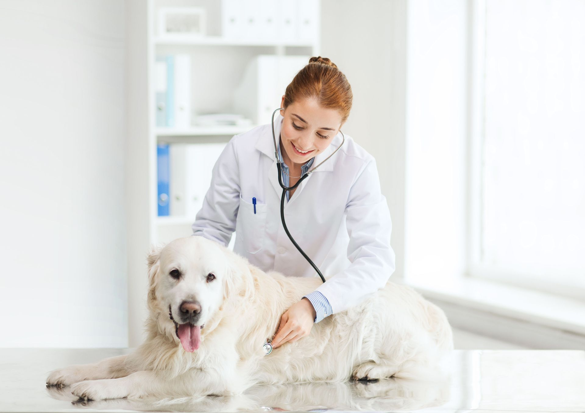 benson-animal-hospital