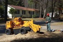 A man is standing next to a tree stump grinder in front of a house.
