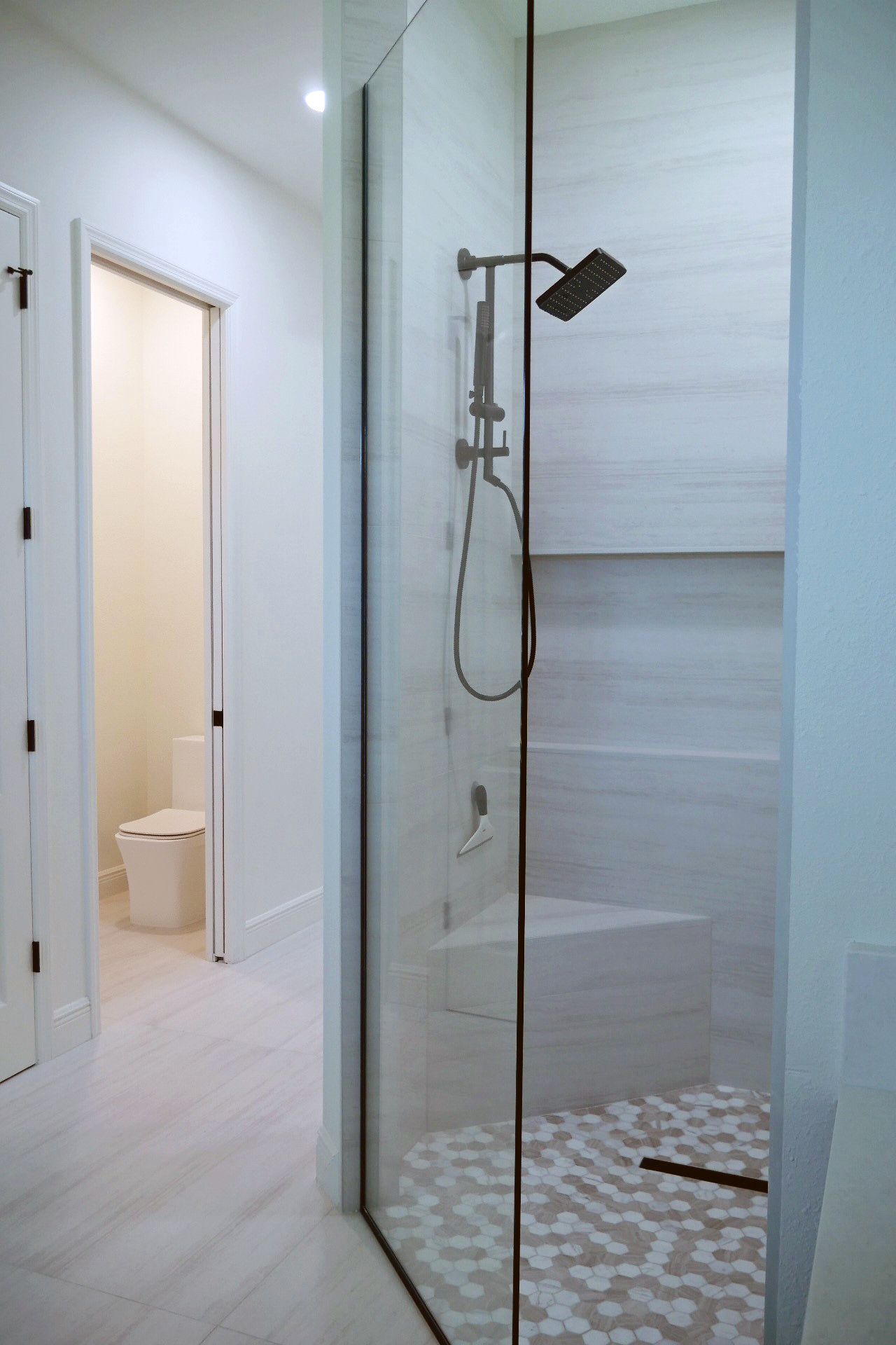 A bathroom with a walk-in shower and a toilet