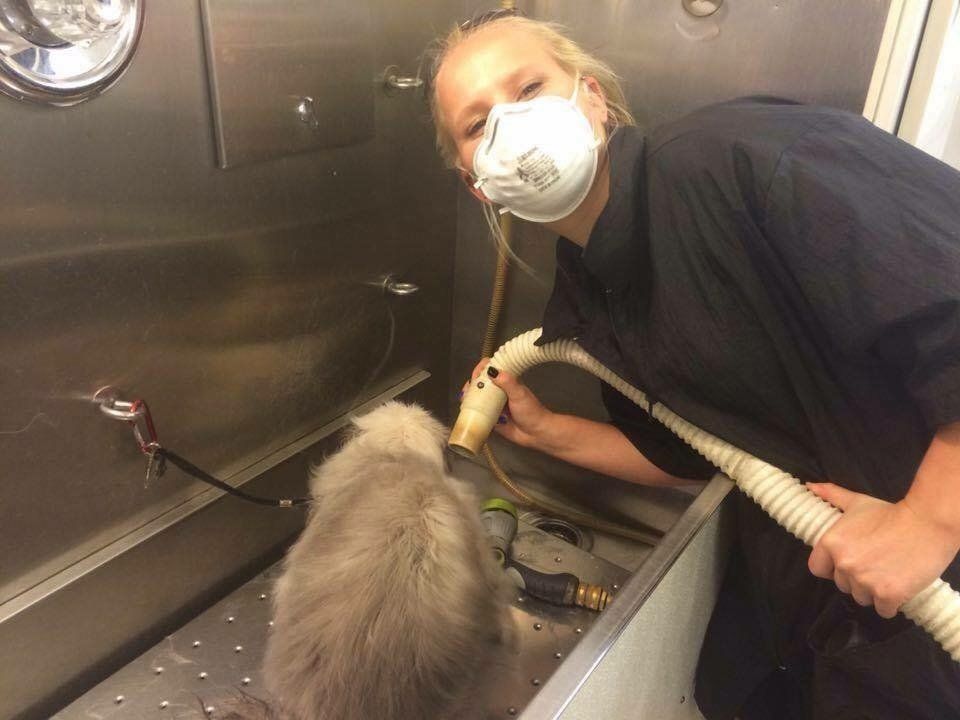 A woman wearing a mask is standing next to a dog in a bathtub.