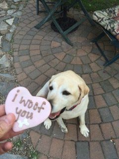 A person is holding a heart shaped cookie that says i woof you