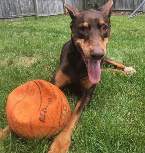 Zoey