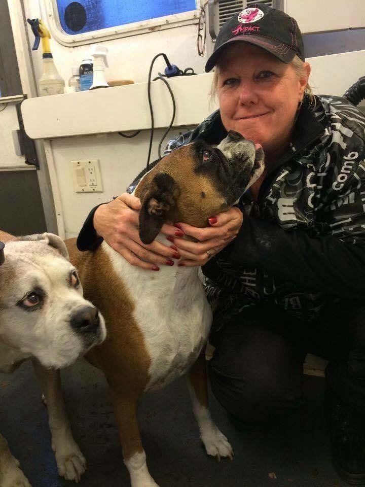 A woman is kneeling down next to two dogs.